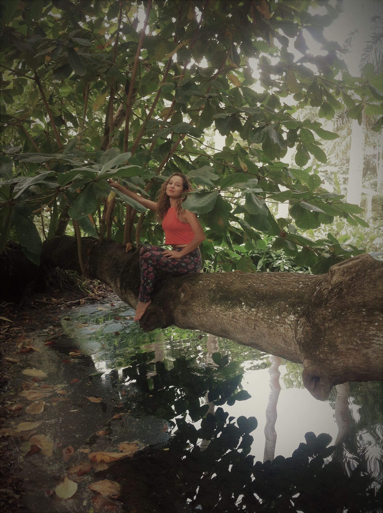 A ti.. /Shirley Cogollo pertuz, Còrdoba, Colombia